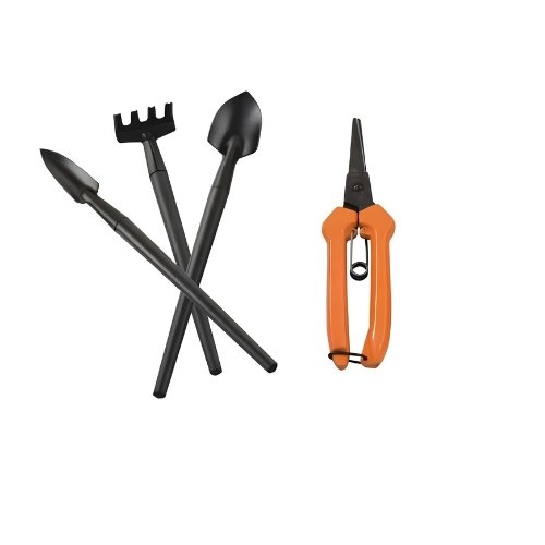 Bonsai Tools